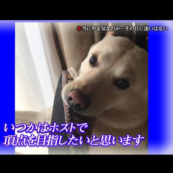 D8917142 c780 40c7 adcd 5c99d2acde2c