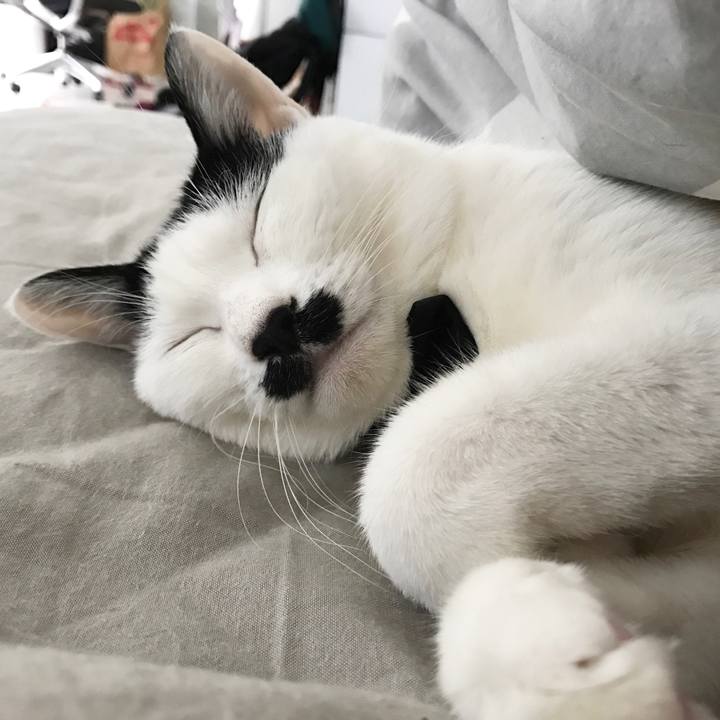 D8917c9a 6f66 4088 9d0c 101c0ef07811