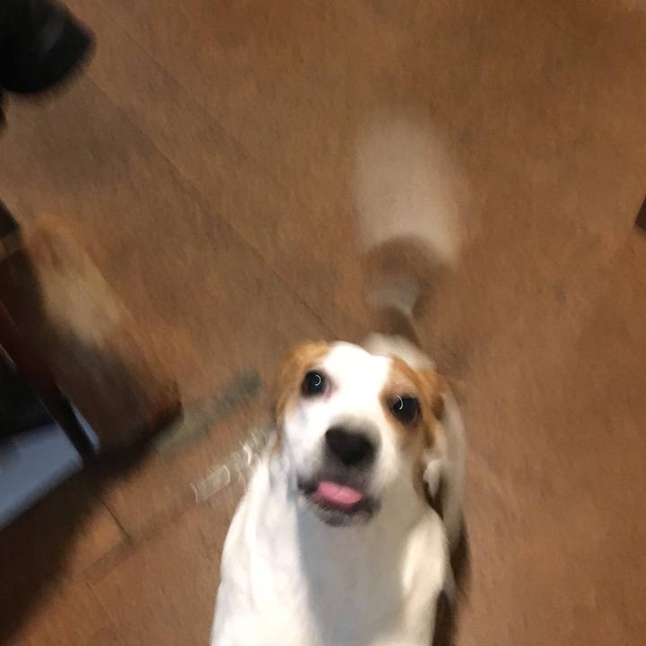 D891b86c e202 4d76 9310 e2c8c563d70c