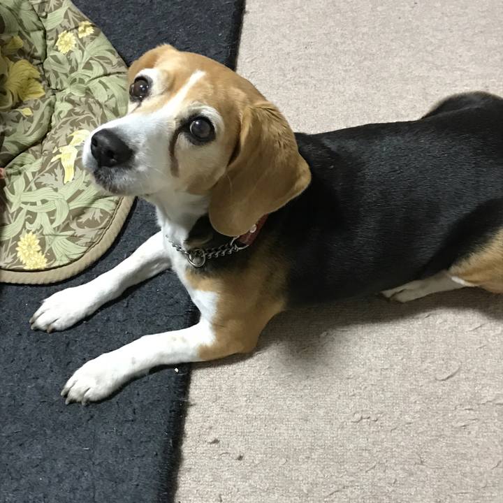 D891be66 5c49 4aca 9ee2 b49ccea131bf