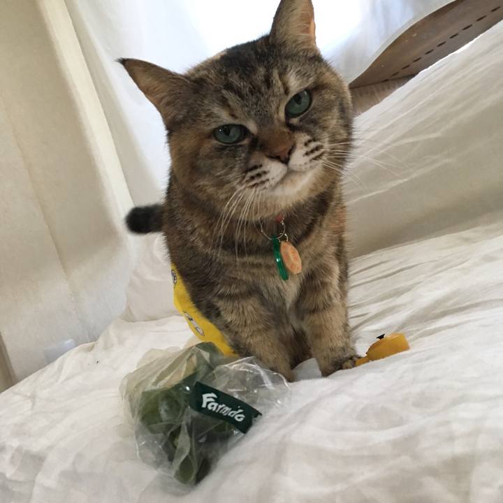 D8921016 0218 4ce5 bbea 1c6f3d521367