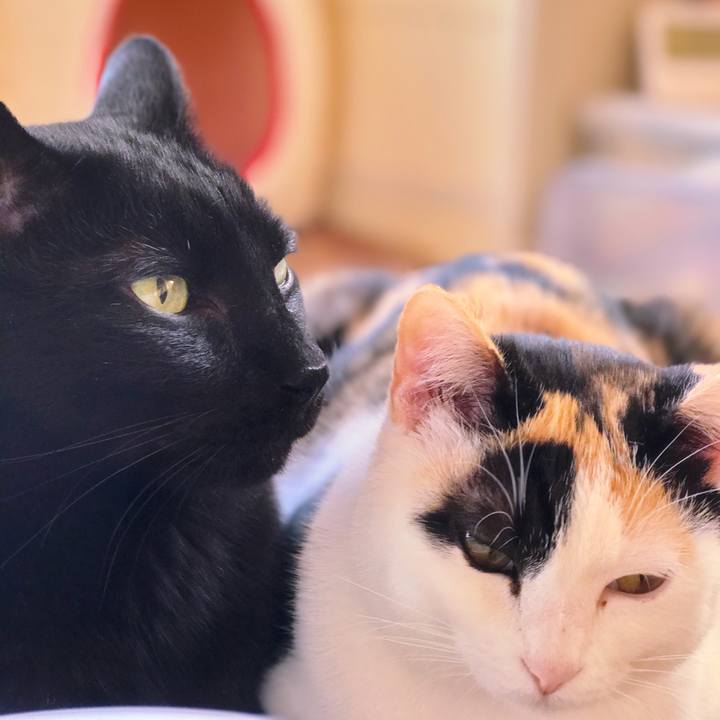 D89253f0 b334 47df bc6b bc7a18f95640