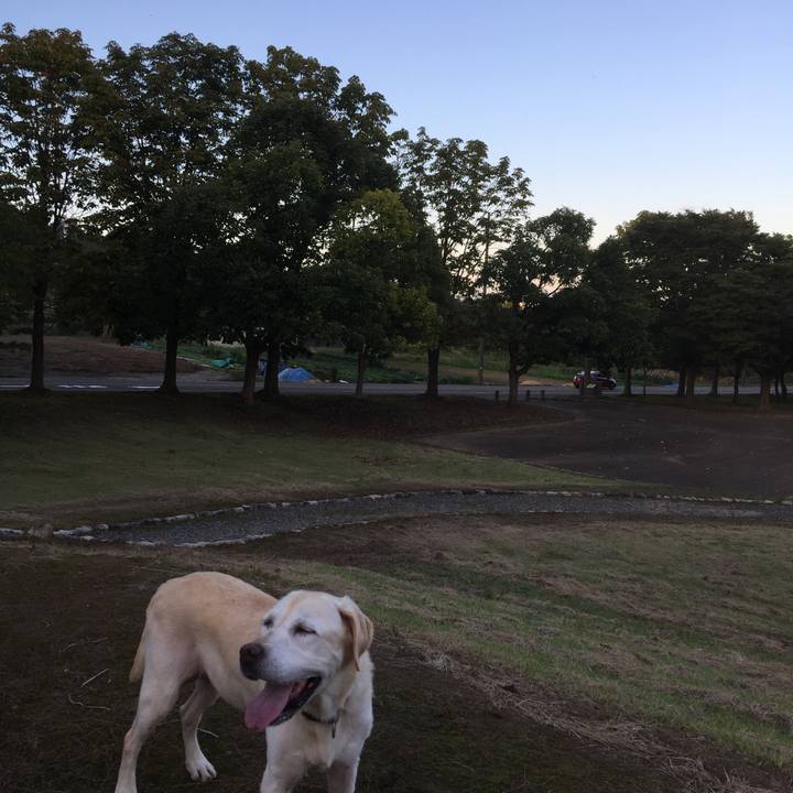 D8936784 d1fd 4bd4 bc2a c8f9a7cfbbe6