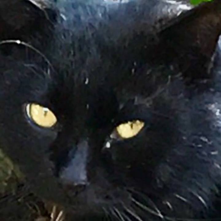 D893d72e 9e52 470c a676 fdb95255afc4