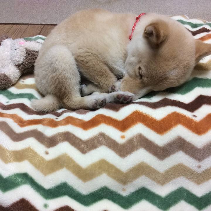 D8944670 8b96 4205 9c8b 5ecbb60b2d4a