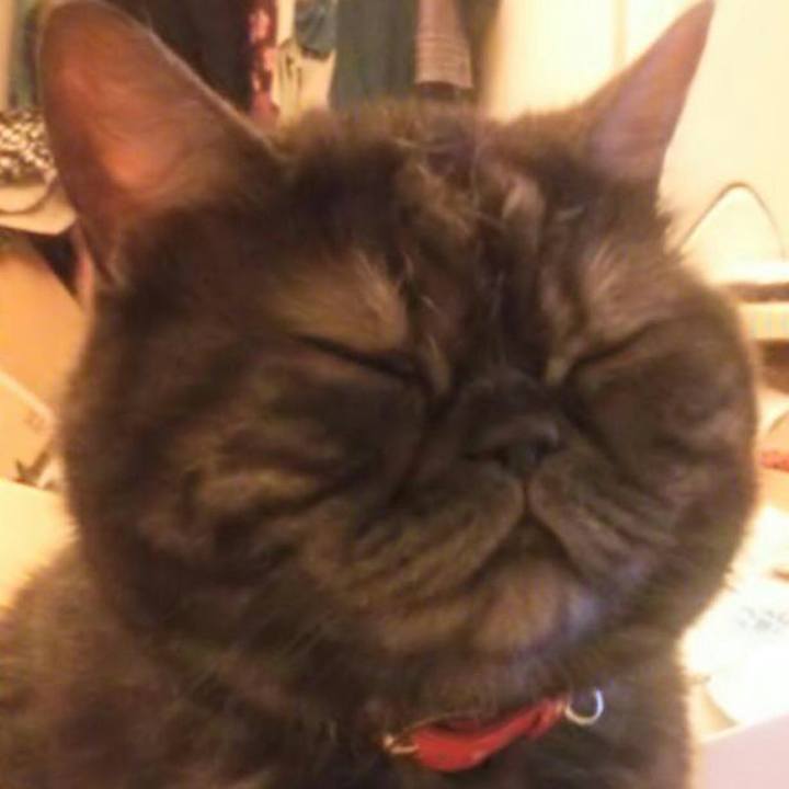 D89507d8 0dc0 4a02 8ba5 846fc3853a00