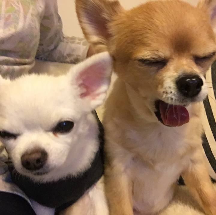 D8954cde 1220 4e8a 8433 f12960ed71a8