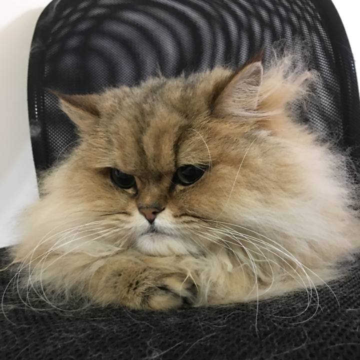 D895820a 882c 4d1c b68a f3534997db15