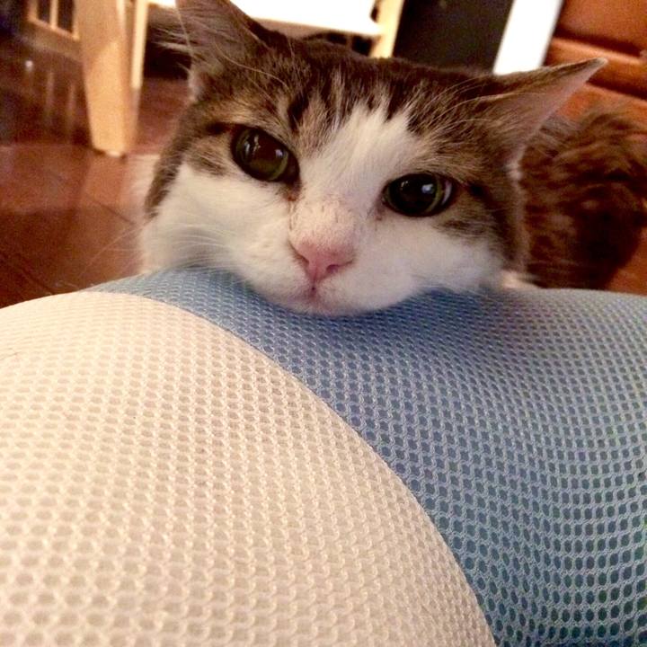 D895dbc3 1ec5 4912 bbca c62c30b6780f