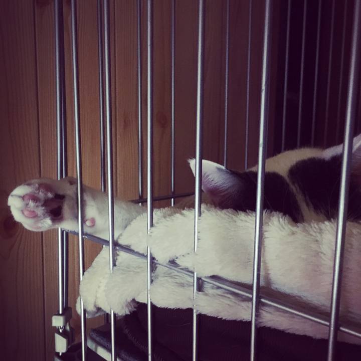 D895ddd0 e874 4380 8cb8 5de5c015374f