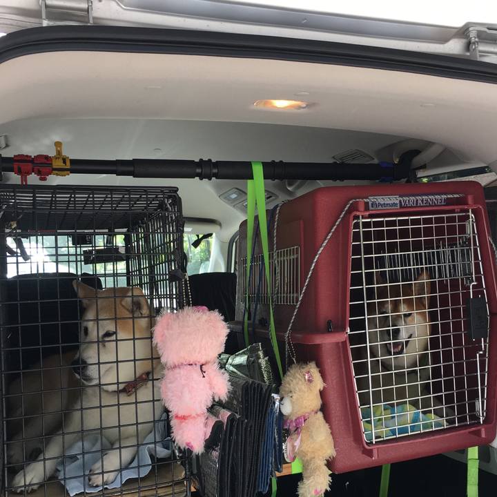 D8978ab9 27ac 41e7 87ef d84efbfdb933