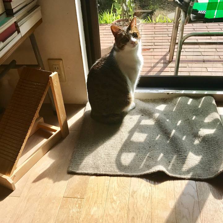 D8980d8d cb41 4c2d 8218 20e960bab005