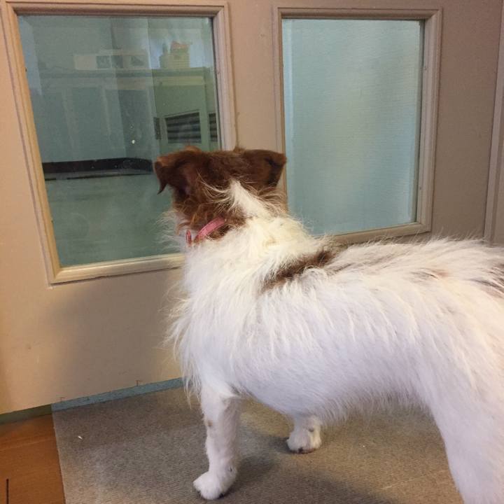 D89882d1 7140 4130 82f6 3649f5d41118