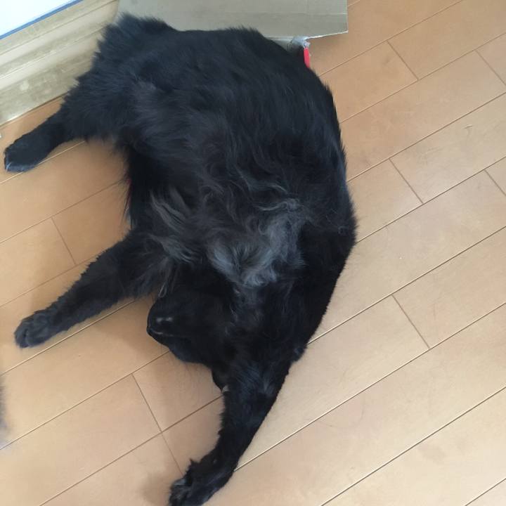 D898e620 6eab 4584 929a 236f54675b71