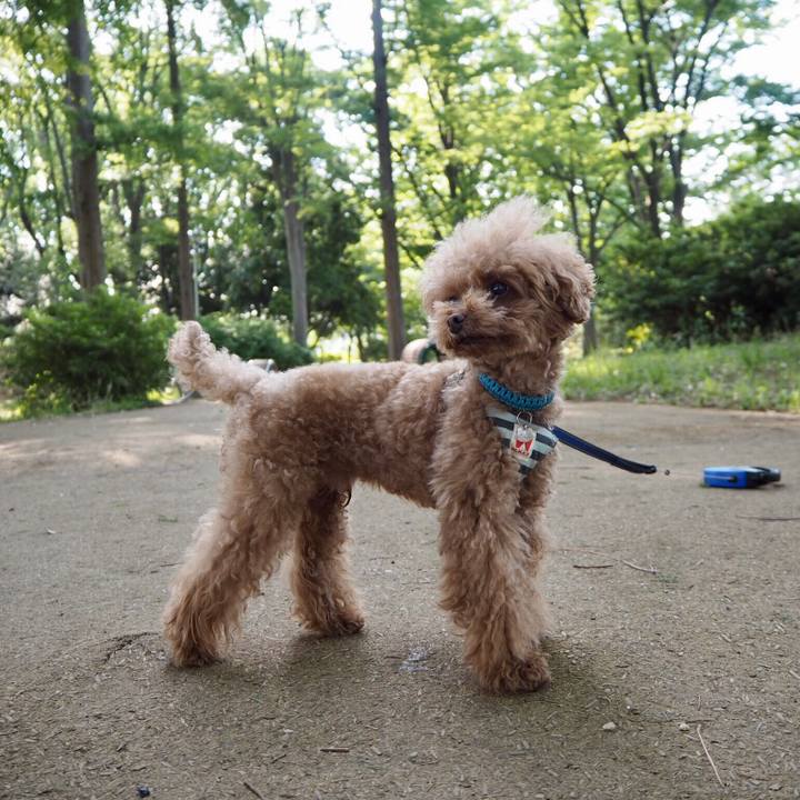 D8997a4c c485 40ed 8d28 3412db636028