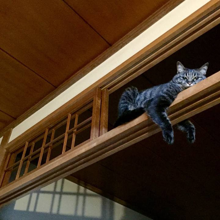 D899a8cd ad05 426a 8b3d 41154782a589