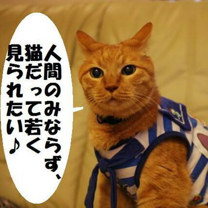 D89a1640 6432 4624 8882 84be4cdffb6e