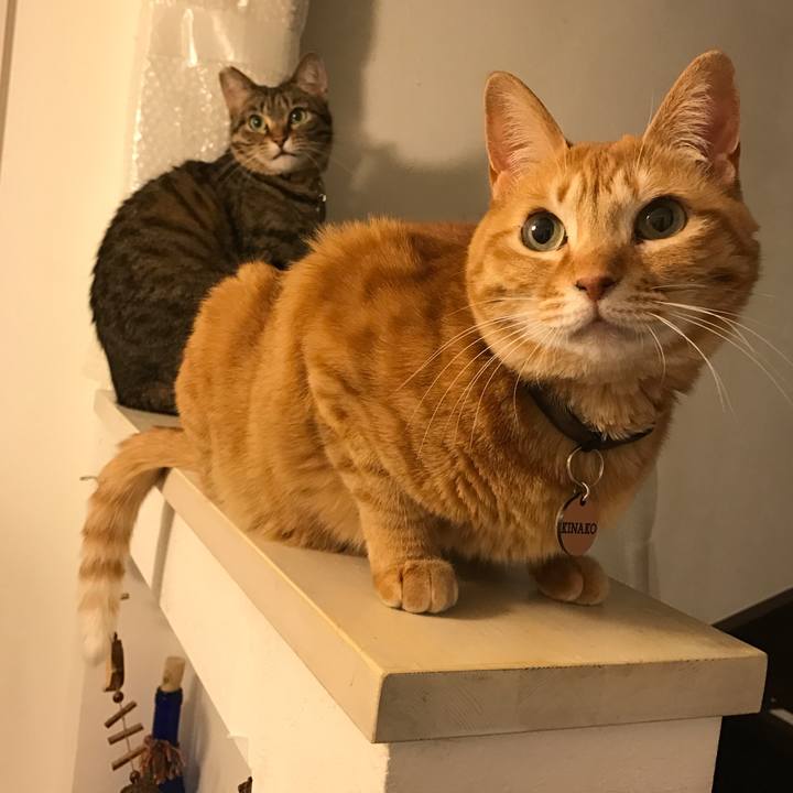 D89aebe6 d411 44ef a6ae 0297198d9099