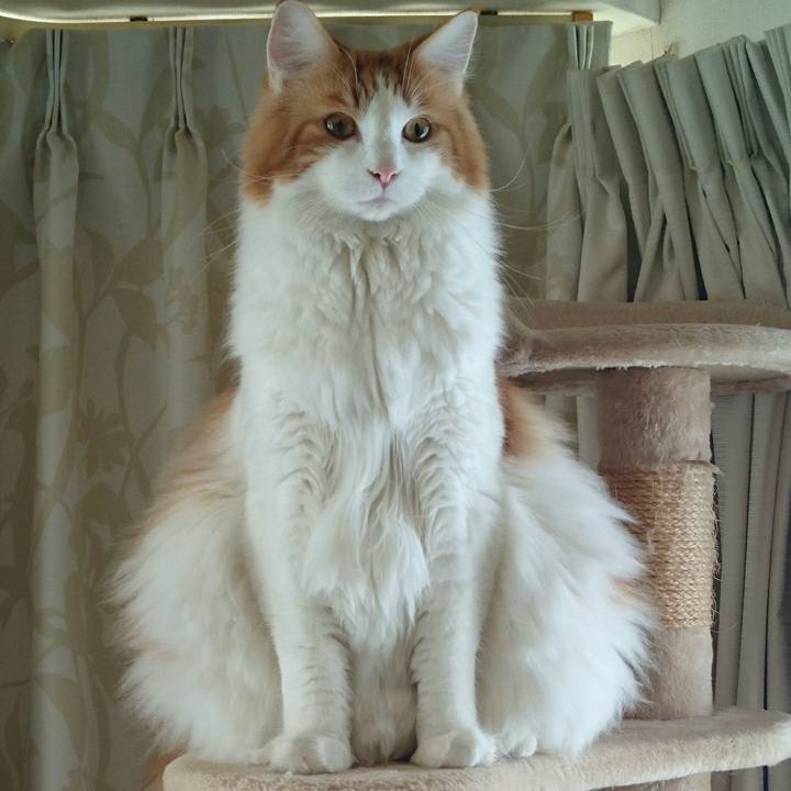 D89b57ed f11b 4b13 a90b fbec7b43e44d