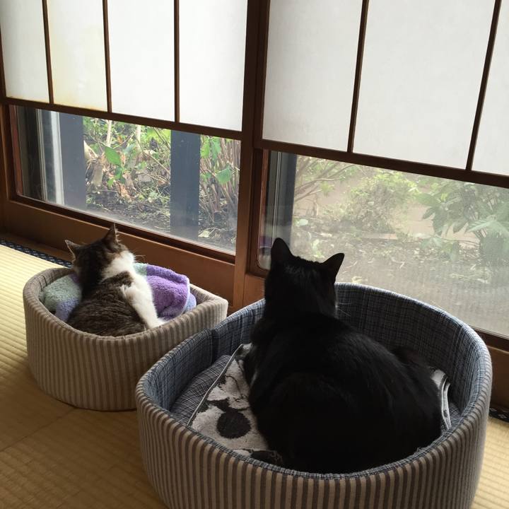 D89b90de cb51 463b 8445 a1927a39b6a5