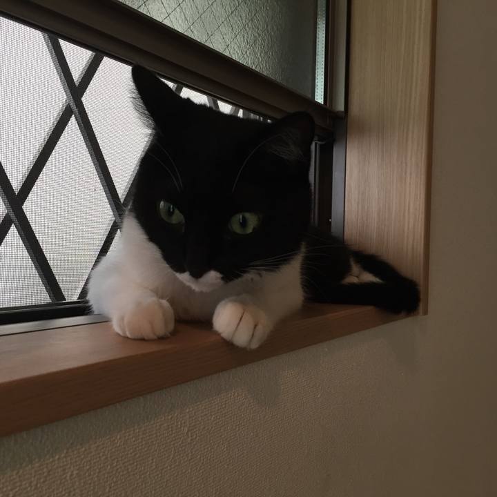 D89b99b6 5b4b 4286 bdce 2eb1a67d2fe4