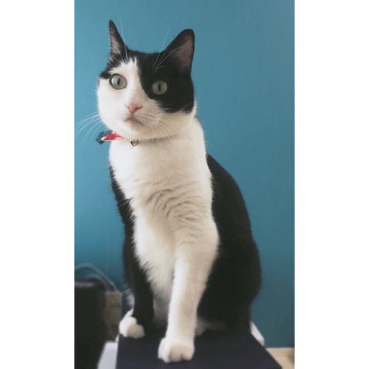 D89c8b58 e13a 4dd7 b7df 56192f9acfd2