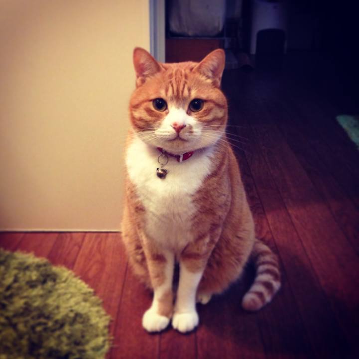 D89caea1 4647 49b6 be03 975b217a01a8