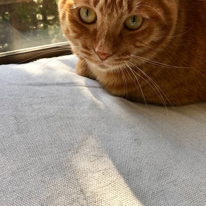 D89cdcbb 2e53 4a7e 8815 51c3c07825b0