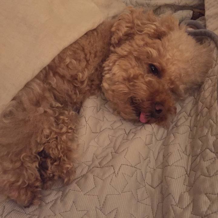 D89ce2ae a88f 422a aaf1 ed449bcbac56