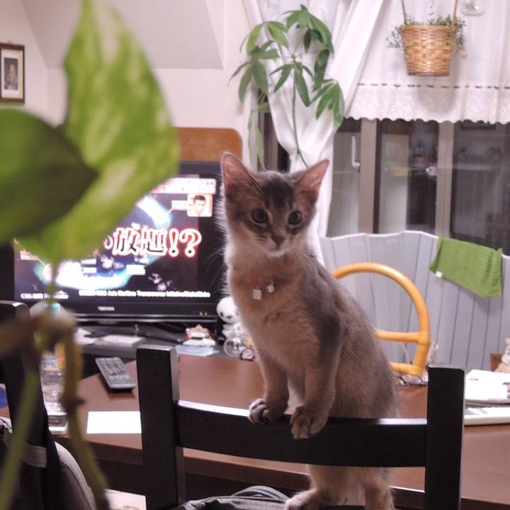 D89d2c02 72ac 42ae 8ea6 54303baa5c9e