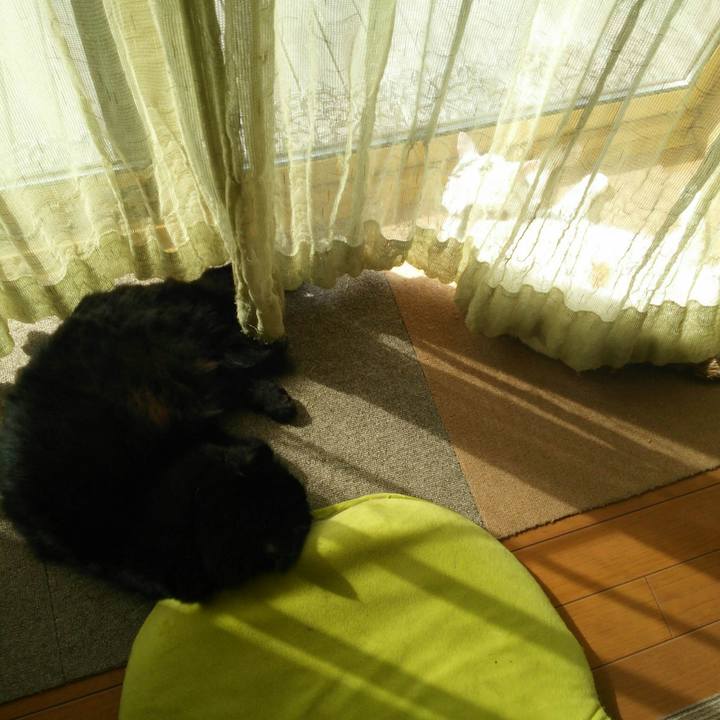 D89d89ed adc5 4b22 9ba2 f7cd16001e2c