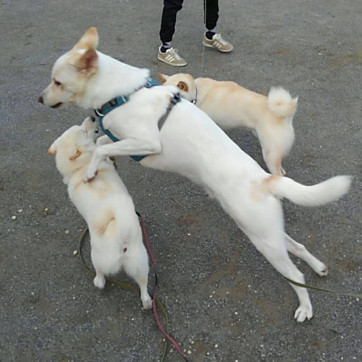 D89db9aa de4d 4bd6 9dd0 b83125c7b44e