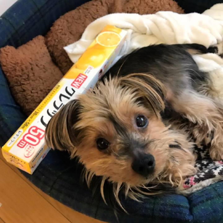 D89dca7c 8564 48c3 83ac 3fb3d86d23af