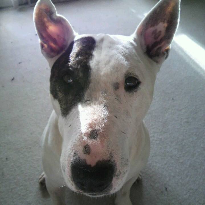 D89e5749 ff1e 4e1d 931a df263c333c0b