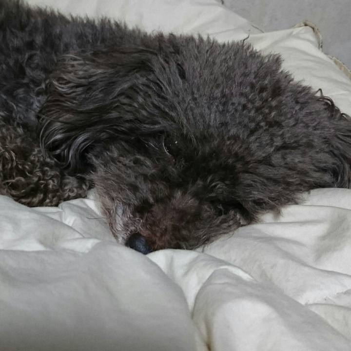 D89e777d 5fce 4287 b938 c574b06d4182