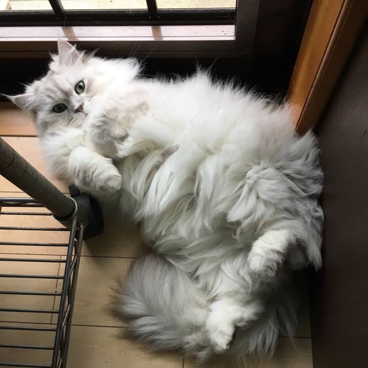 D89ea6b6 931e 4dd1 8a93 e0813d2223b4