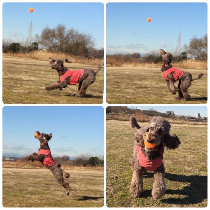 D89eb493 074f 4157 a894 9fd164afd8ec