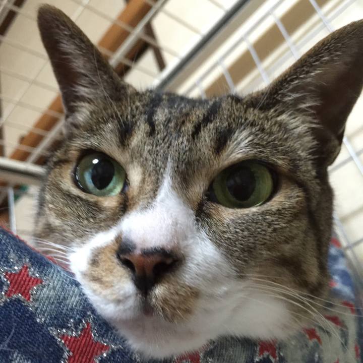 D89ecf8a 09c1 40fe 9497 a0bbe7003f2b