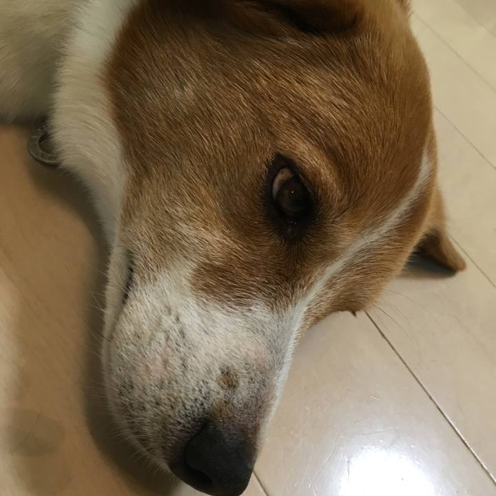 D89f4972 d7d0 4fc2 8297 0482f2bfac3e