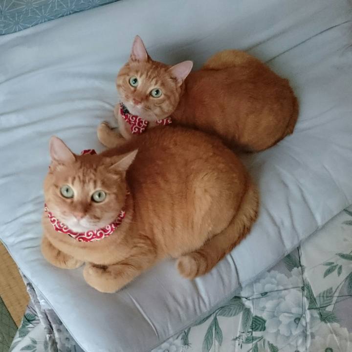 D89f4daf f84b 45c7 884c ef629ab10fbc