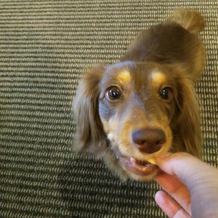 D89f7b85 5a28 47ac bca9 012474266d27