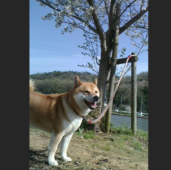 D89f8abf 7712 4f7c 9aca e6aef9f64111