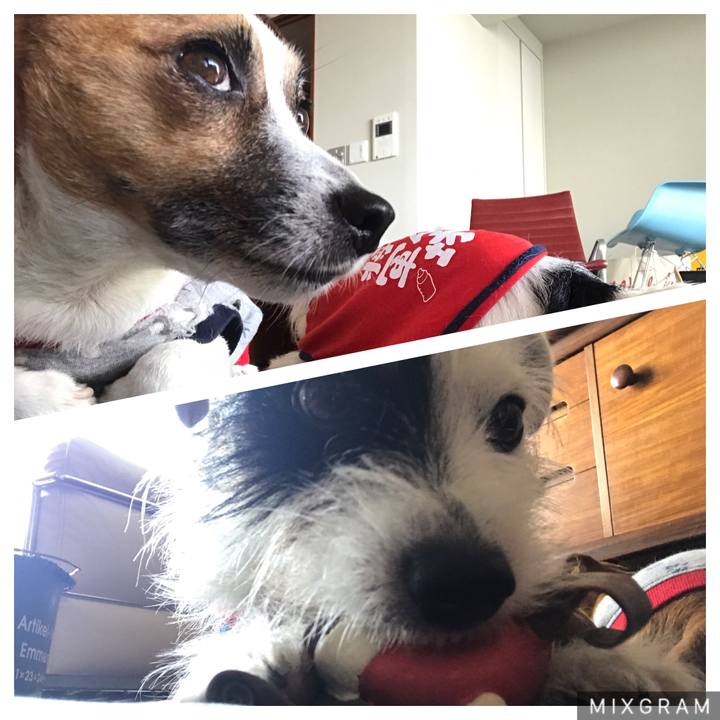 D89fa3af 6333 4a3e b672 4101c53b26a3