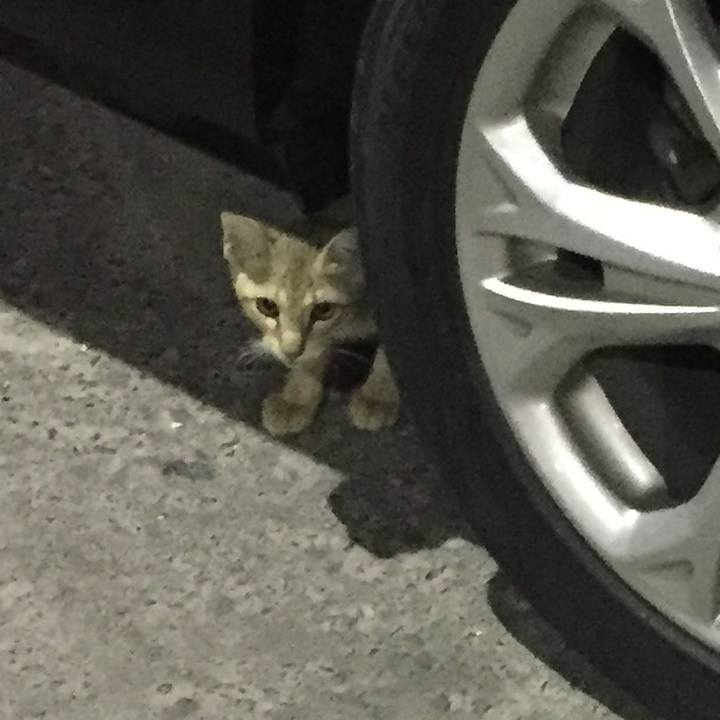 D89fbdfb b278 4f2d 8eee 435d68222f29