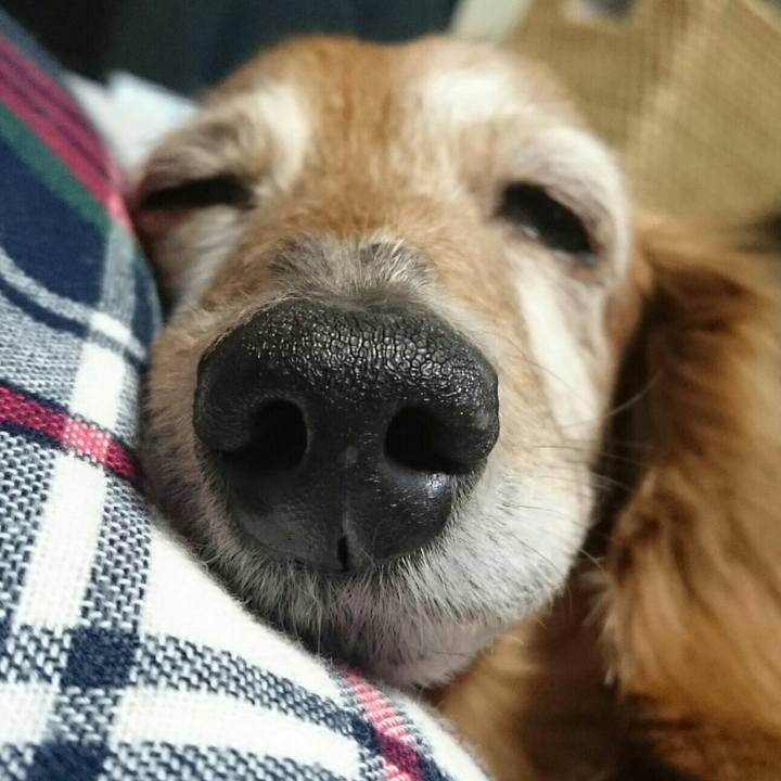 D8a135ba 5605 4c3a 872b 80480ac76620