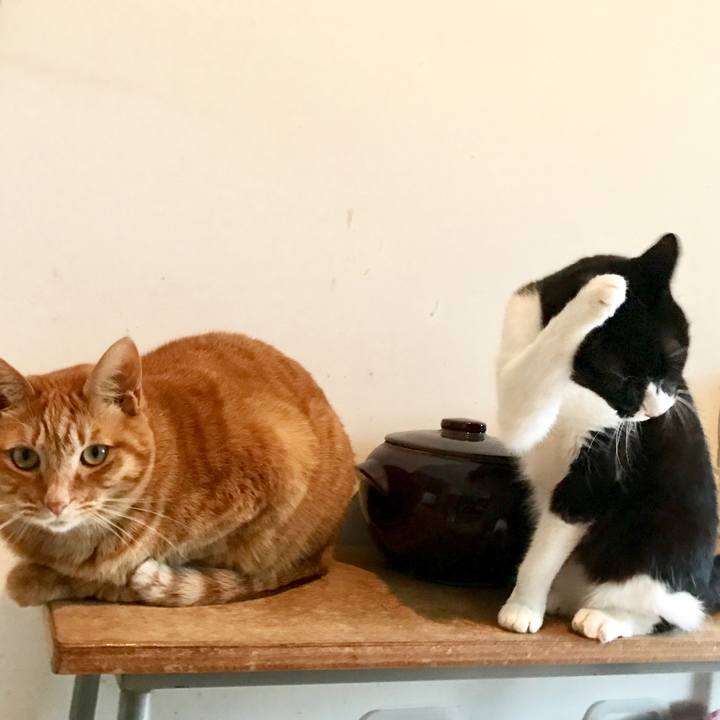 D8a145b2 19d2 41f0 abb2 26466bf8f375