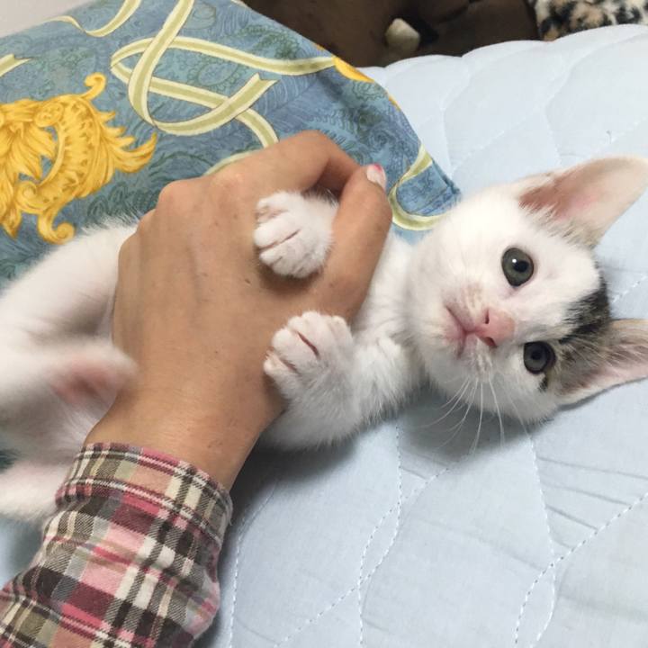 D8a1fd20 16c6 4a01 8266 873268957fbb