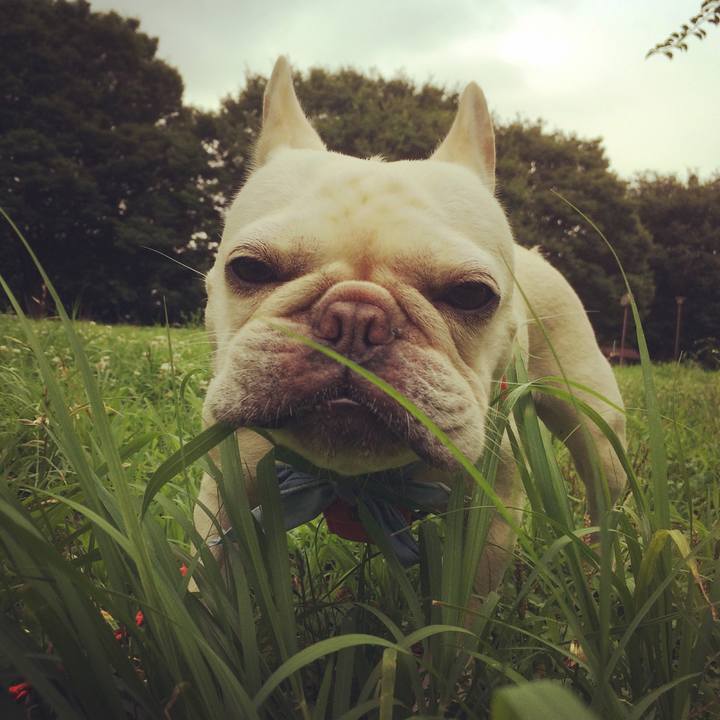 D8a23524 abf1 49ad bd5f 3e20e36244b4