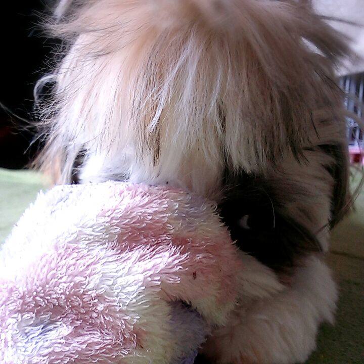 D8a25a63 0ff1 4f8f 8862 2d93be92aaf5