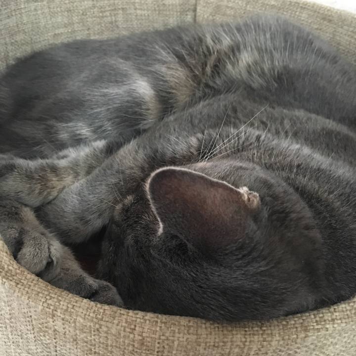 D8a37196 ff2e 4f77 ab10 47447f246b43